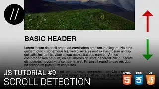 JS Tutorial #9 — Scroll Detection [UP/TO/DATE]