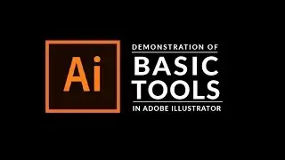 How To Use The Basic Tools in Adobe Illustrator