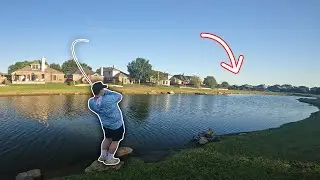 Fishing for GIANT BASS in Tiny Neighborhood Ponds!