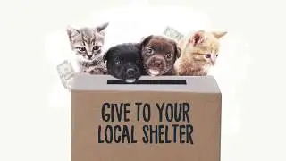 The Humane Society of the United States Gets a “D” (Extended Version)