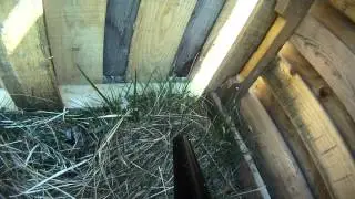 GoPro Paintball  at Your A Dead Man park barrel mount