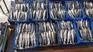 Сколько стоит корюшка на рынке в Южно-Сахалинске. 