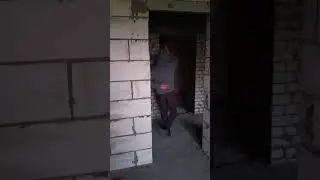 фнаф на минималках #фнаф