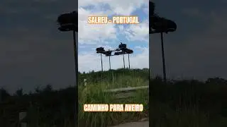 Porto x Aveiro | Portugal | Condomínio de Cegonhas pela Estrada | #viagem