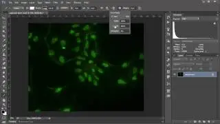 60s 'shop: How to Draw an Arrow in Photoshop CC