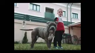 El Nino - De la zero(Teaser)