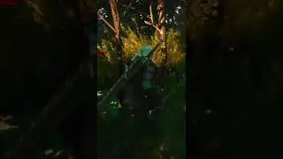 A Princess In Distress / Witcher 3