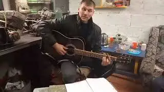 Анатолий Ефимов - "Возвращаются птицы в гнездовья свои по весне" Песня под гитару .