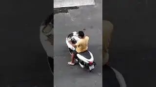 Собака на мотоцикле