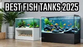 Want the PERFECT Aquarium? Top 10 Fish Tanks of 2025 Revealed