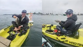 🤘🤘🤘SAN DIEGO FISHING🤘🤘🤘#fishing #kayakfishing #sandiego #sandiegofishing #halibut #halibutfishing