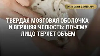 Массаж лица. Твердая мозговая оболочка. Фрагмент семинара Алгоритм молодости Ольги Турбиной