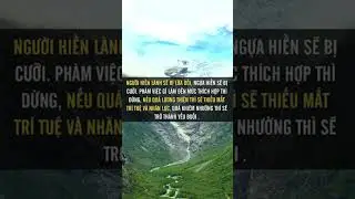 Người hiền lành sẽ bị lừa dối