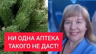 НИ ОДНА АПТЕКА ТЕБЕ ЭТО НЕ ДАСТ/ДОЛГОЛЕТИЕ/БИОХАКИНГ/АННА МАЙОРОВА/Siberian Wellness