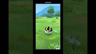 ✨ Shiny POKEMON Alert! ✨like the video for extra shiny luck :] #shinypokemon #pokemongo