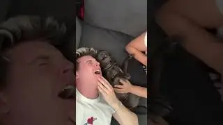 This Was Not A Good Idea…🤕 #shorts #couples #love #goals #funny #relationship #puppy #sharpei #ouch