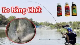 Thiên Xuyên Fishing - Trải Nghiệm Bộ Mồi Trôi Tại Hồ Câu Hà Đông