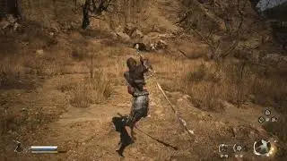 Black Myth  Wukong Parry