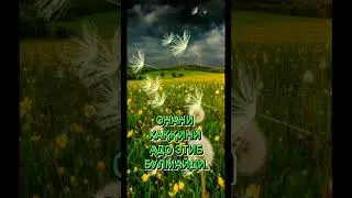Онани хаққини адо этиб булмайди 2023.