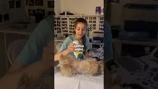 Брить или не брить? 