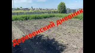 Деревенский дневник. Первая поездка на мотоблоке. Огород. Жара.
