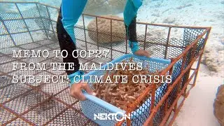 Memo to COP27 from the Maldives. Subject: Climate Crisis
