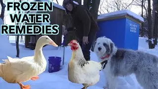 Keeping Water UNFROZEN for Your Animals