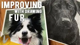 How To Improve At Drawing Fur - 5 Tips For Realistic Fur