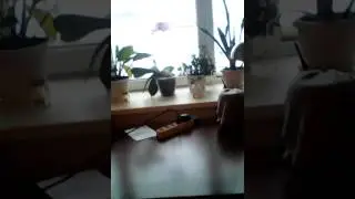 Порядок 2 часть