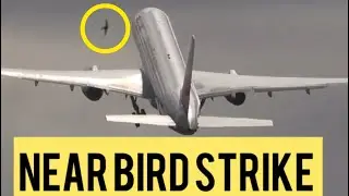 Near bird strike shortly after take off at Manchester Airport. Jet2 B757 (G-LSAI)