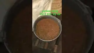 тоза ругани загер