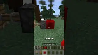 SHULKER CHEST IN MINECRAFT 