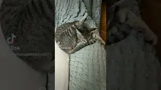 Медитация
