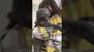 По лицу кота видно, что он очень счастлив #кот #котейка #котказанский #котики #тренды2024 #котэ #йен