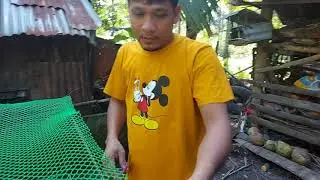PAANO GUMAWA NG KULUNGAN NG MANOK NA MADALING LINISIN | STEEL CHICKEN CAGE BEST DESIGN EASY TO CLEAN