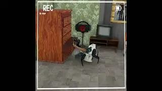 Stealing Family Cameraman Photo 