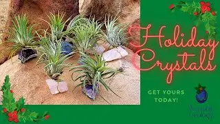 2021 Holiday Stocking Stuffers!! [MUST HAVE]  For Every Crystal Lover!  21% OFF