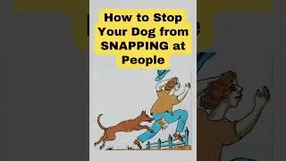 How to Stop Your Dog from SNAPPING at People | Dog Aggression Toward People #dogaggression