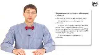 Обществознание (ЕГЭ). Урок 41. Трудовое право. Права и обязанности работника. Трудовой договор