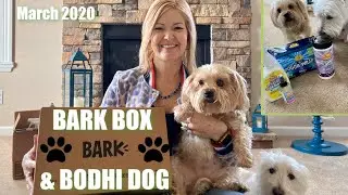 Bark Box & Bodhi Dog | March 2020 | Sidekick unboxing and sharing great deals on pet supplies!