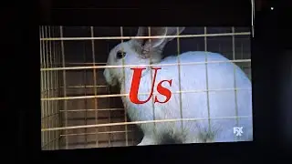 Us (2019) - FXX Intro #2
