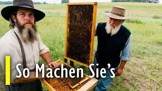 How to Keep Amish Bees to Produce Your Own Honey