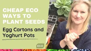 Planting Seeds in Egg Cartons and Yoghurt Pots for Eco Gardening