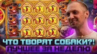 ЗУБАРЕВ. ПРАЗДНИК УДАЛСЯ! ЛУЧШИЕ ЗАНОСЫ НЕДЕЛИ. 