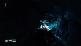 Vehicular Manslaughter