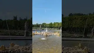 Территория Петергофа | 2024 г