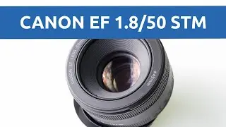 Тест объектива Canon 50mm f/1.8 STM: точно лучше предыдущей версии даже на кропе