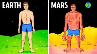 Space Living 101: How Astronauts Adapt to Life in Zero Gravity