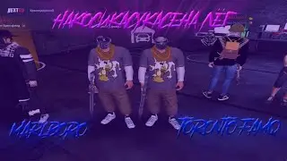 КВАДРАТНЫЙ СОЛОВЕЙ УПАЛ В НОГИ | MARLBORO | TORONTO FAMQ | NEXTRP