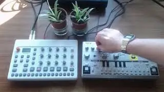 Behringer TD-3 + Model Samples - Playfull Acid.